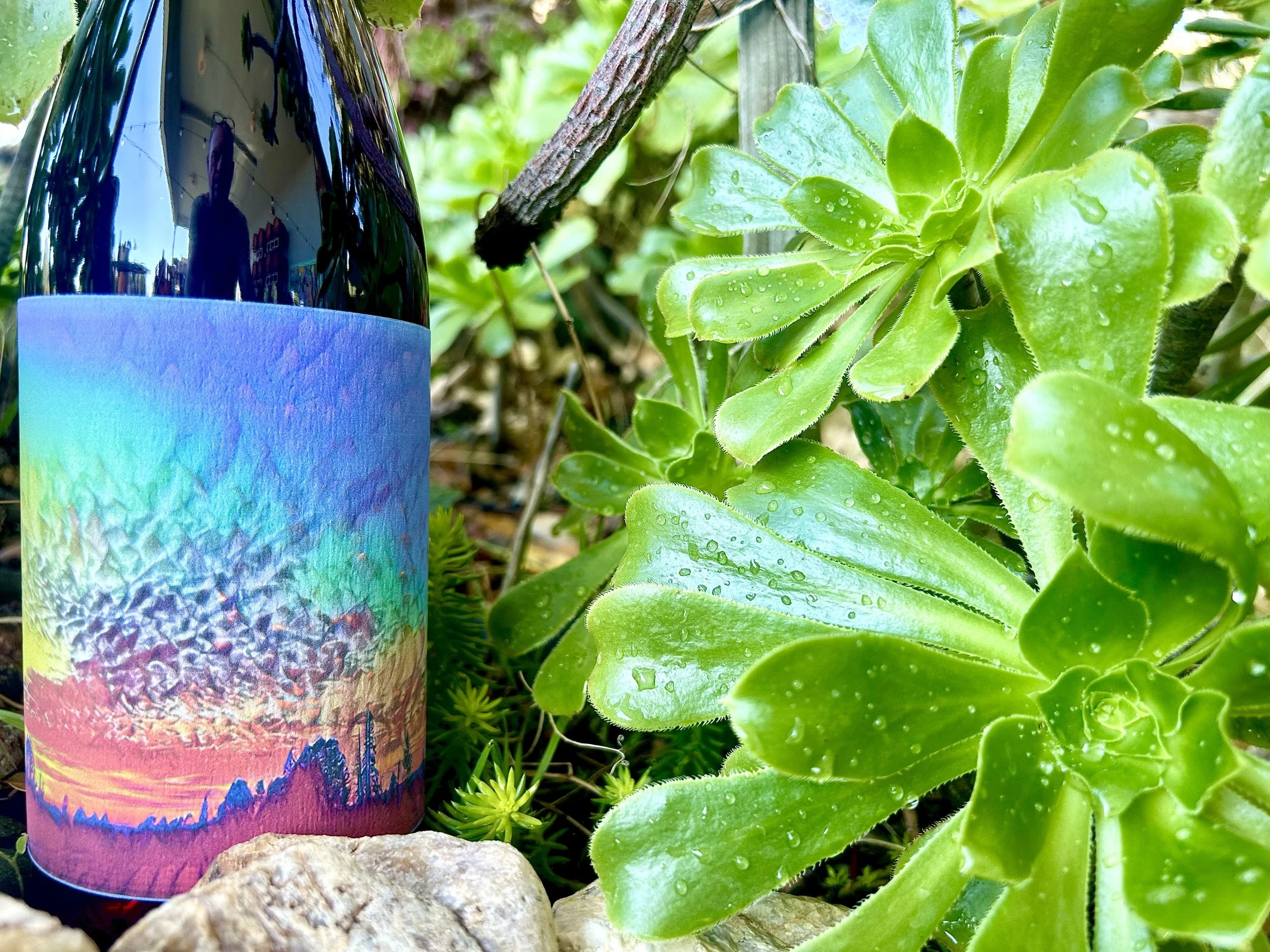 Fair Play El Dorado County Natural Wine and Cider | Interstellar